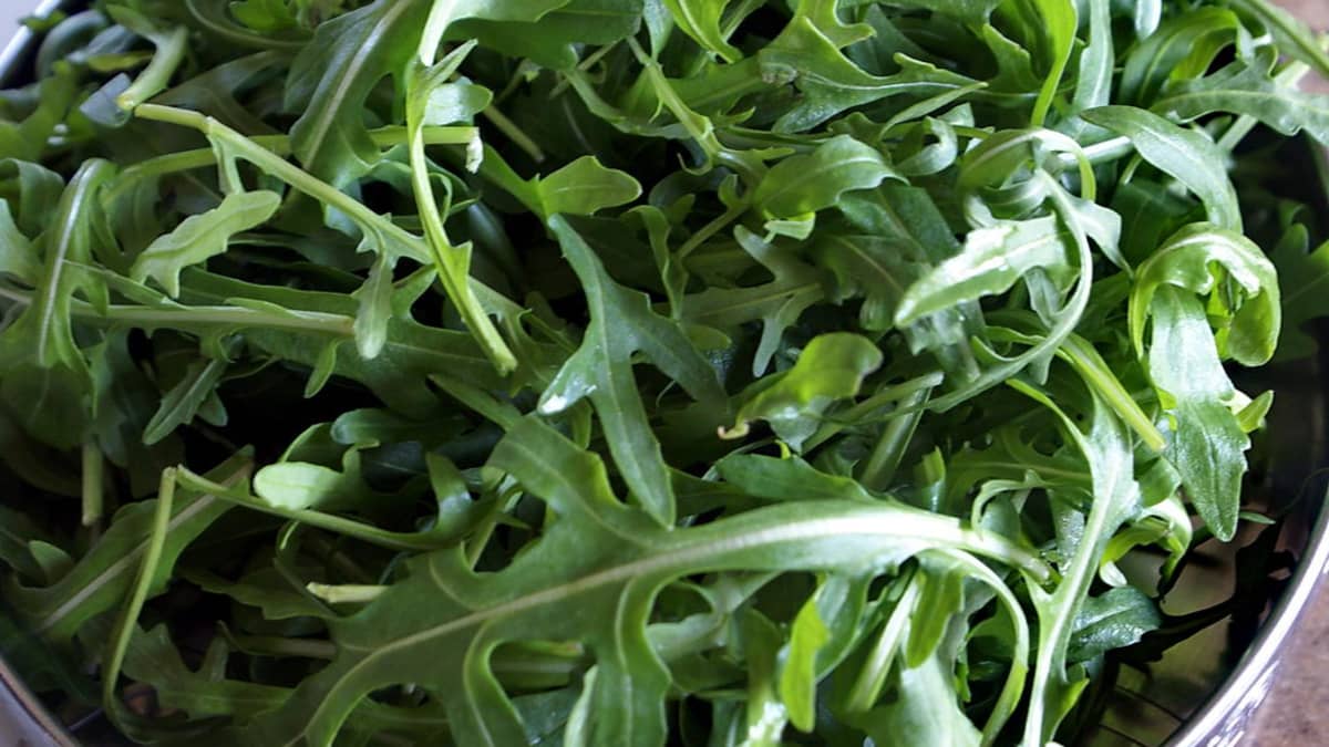 Hebdo du 4 mars 2026